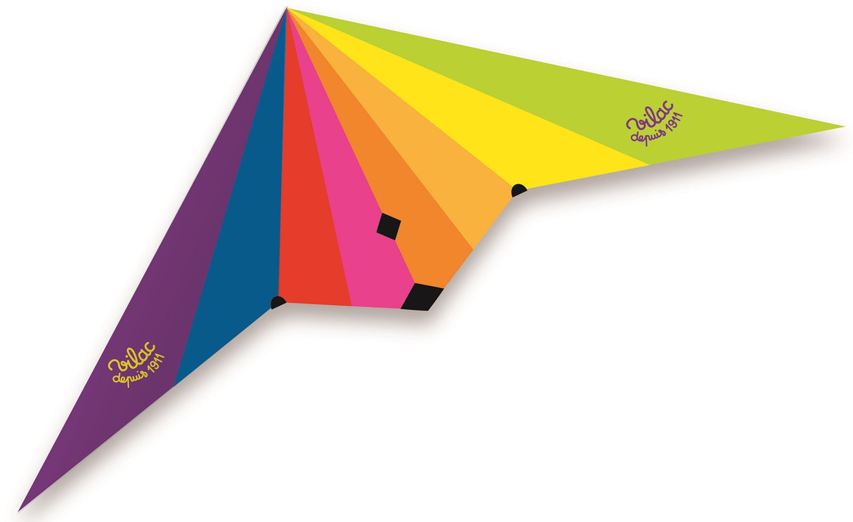 Large Delta Kite