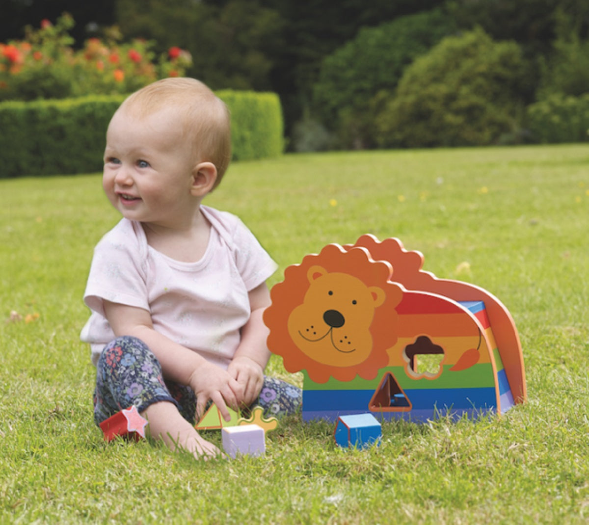 Lion Wooden Shape Sorter
