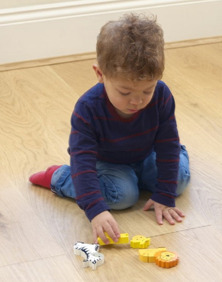 Mini Safari Puzzles 2