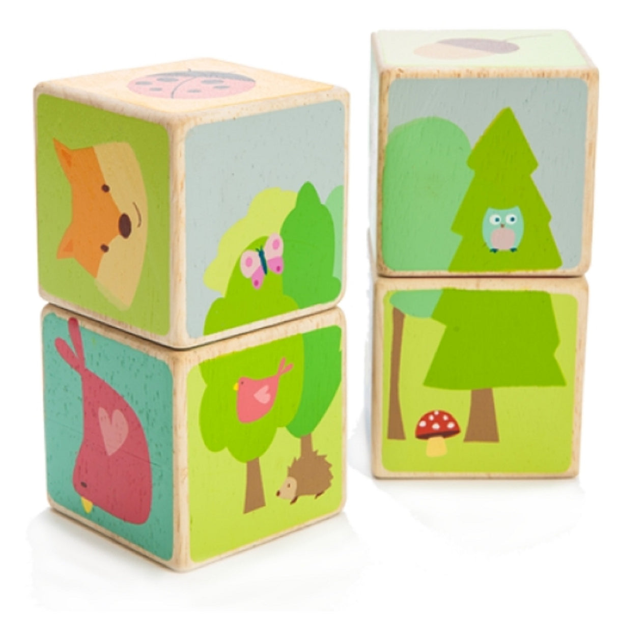 Le Toy Van Little Leaf Blocks