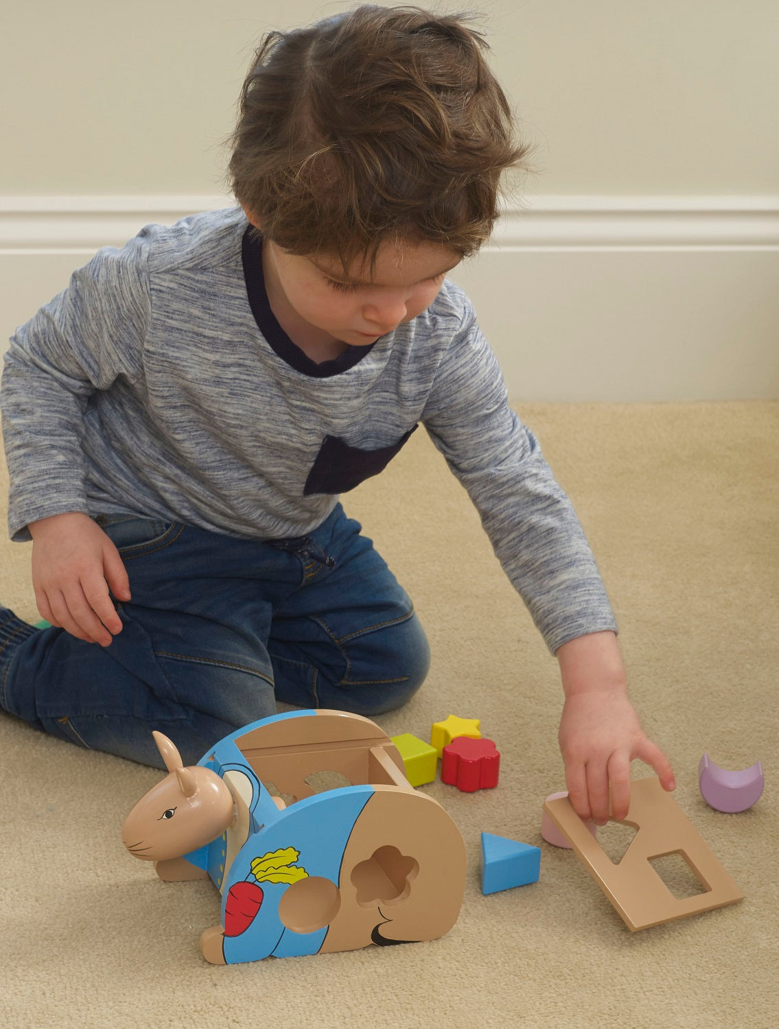 Peter Rabbit Wooden Shape Sorter