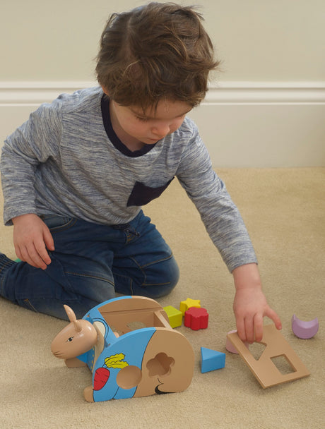 Peter Rabbit Wooden Shape Sorter