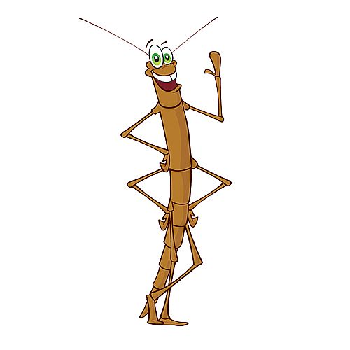 Stick Insect Refill Voucher