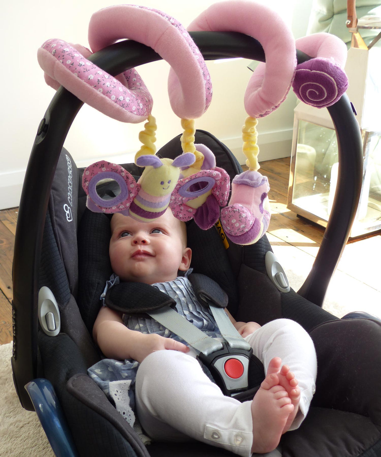 Billowy Butterfly Activity Spiral