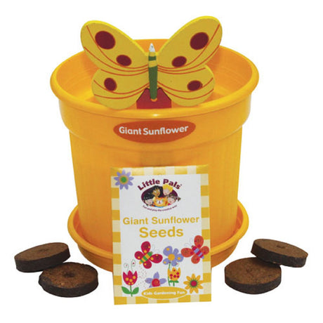 Growing Pot of Fun - Sunflower