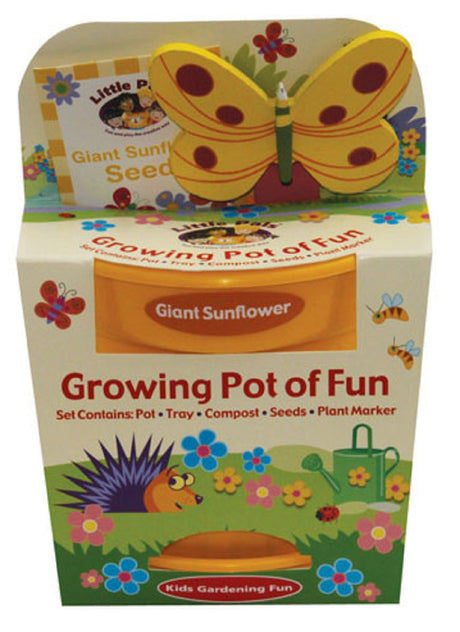 Growing Pot of Fun - Sunflower