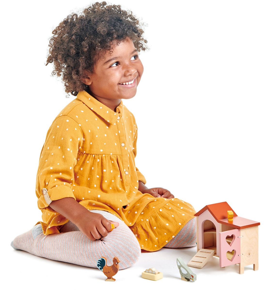 Tender Leaf  Toys Chicken Coop