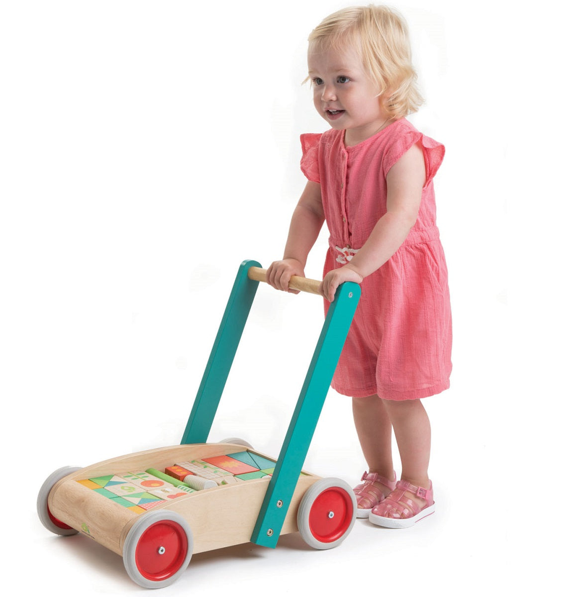 Tender Leaf Baby Blocks Walker