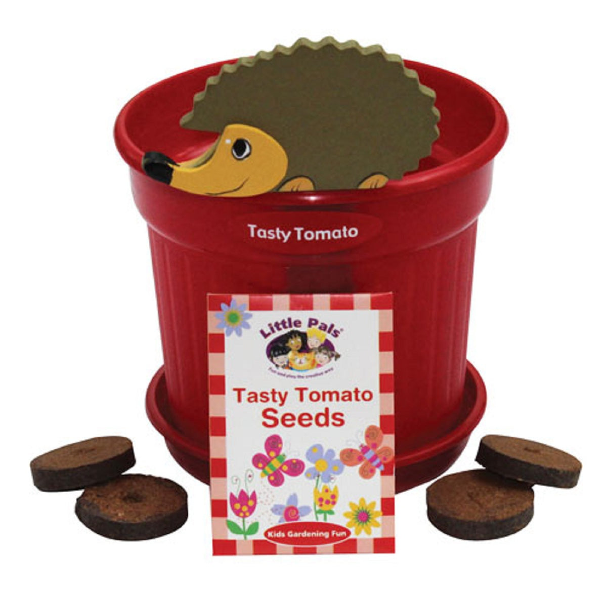 Growing Pot of Fun - Tasty Tomato