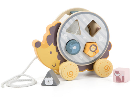 Pull Along Hedgehog Sorting Wheel