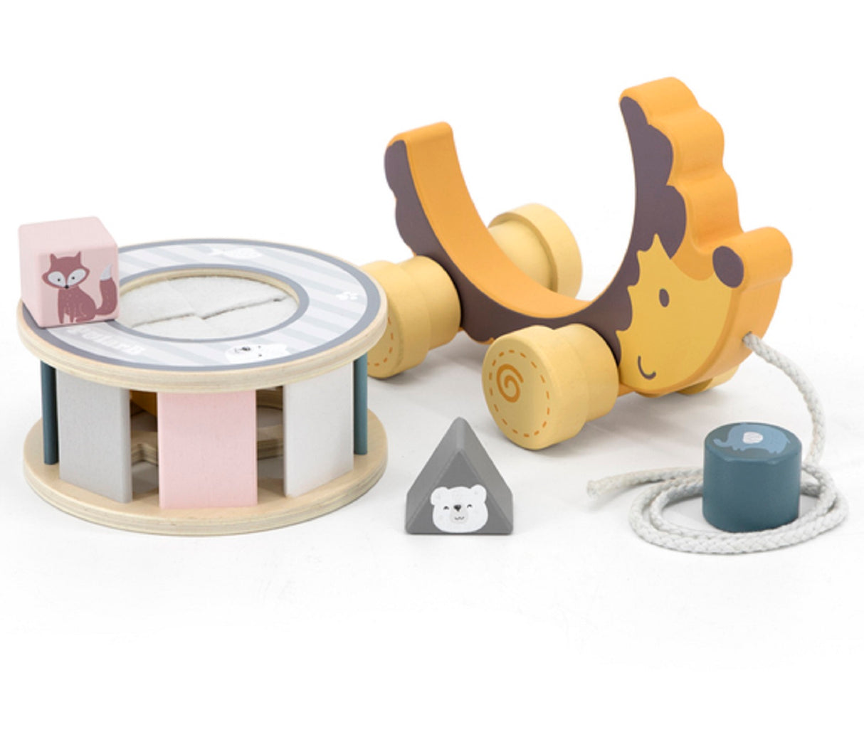 Pull Along Hedgehog Sorting Wheel