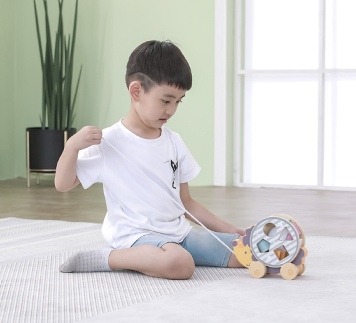 Pull Along Hedgehog Sorting Wheel