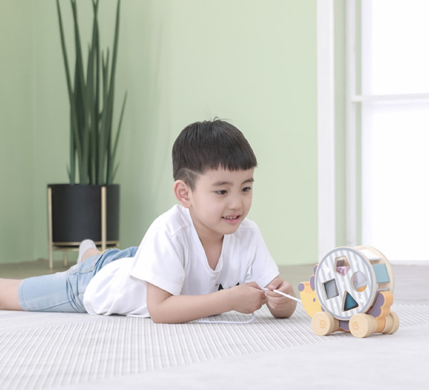 Pull Along Hedgehog Sorting Wheel