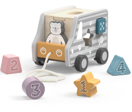 Pull Along Shape Sorting Truck