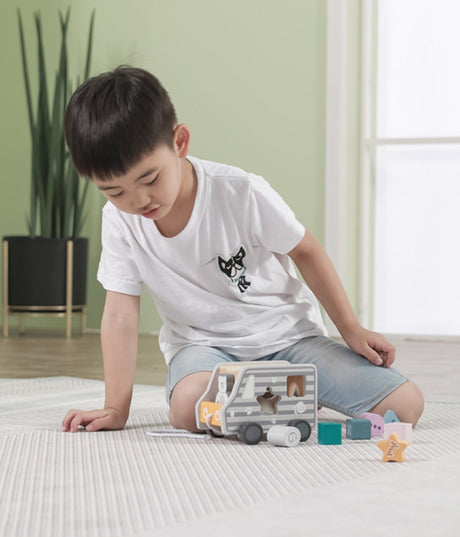 Pull Along Shape Sorting Truck