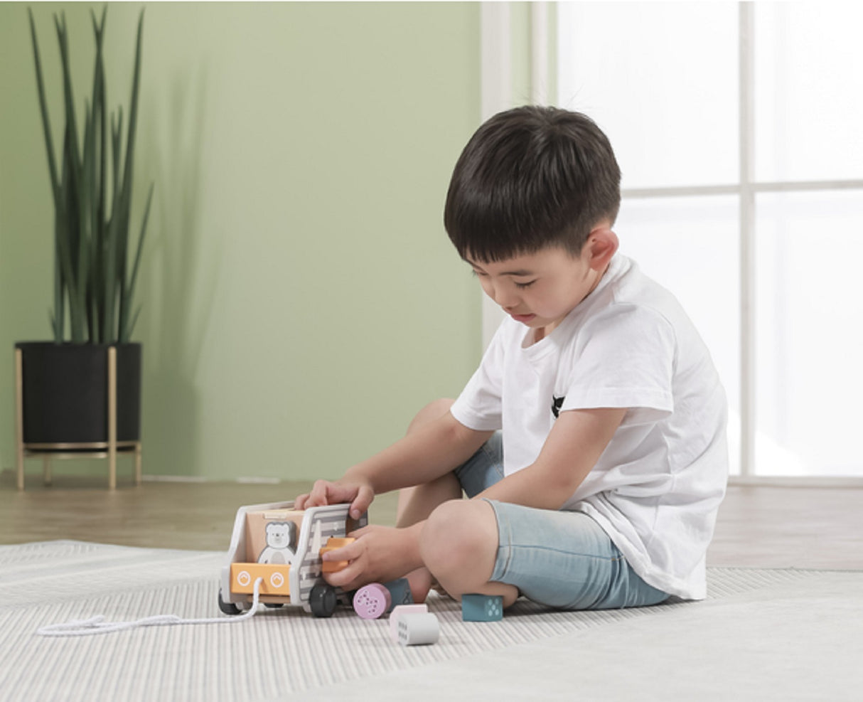 Pull Along Shape Sorting Truck