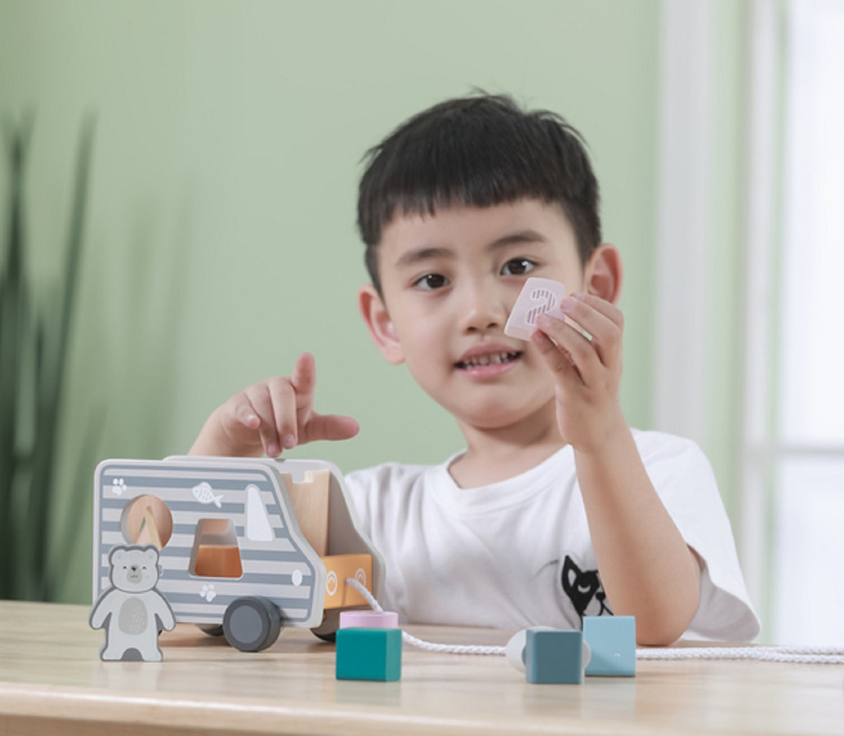 Pull Along Shape Sorting Truck