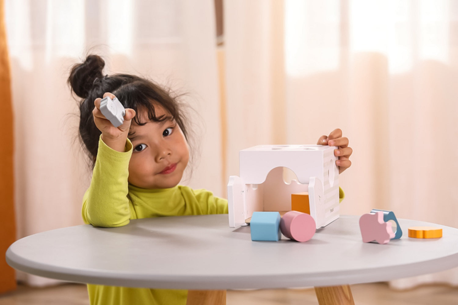 Shape Sorter With Sound Blocks