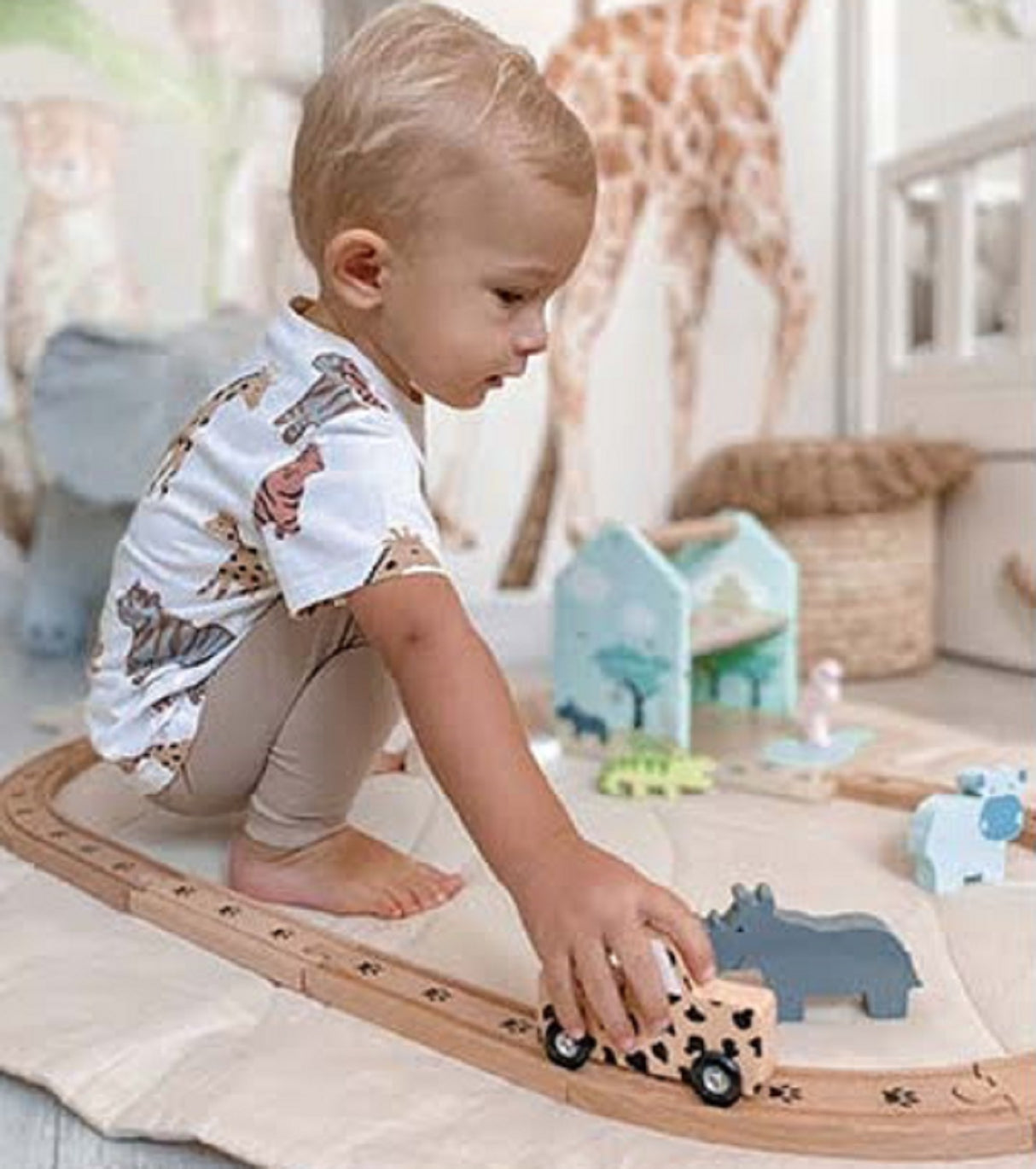 JaBaDaBaDo Safari Train Set