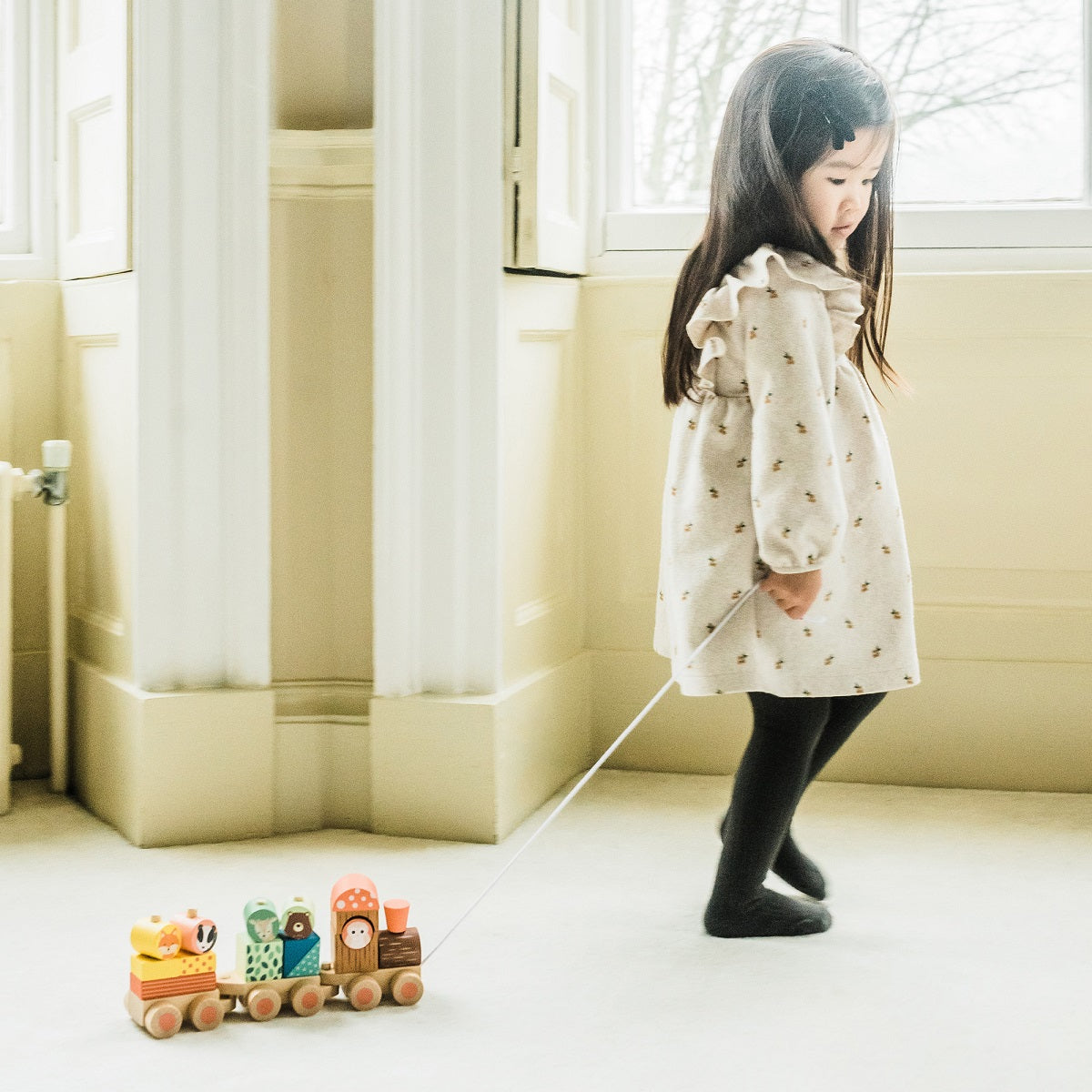 Woodland Animal Puzzle Train