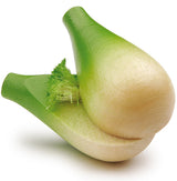 1 x Wooden Fennel Bulb