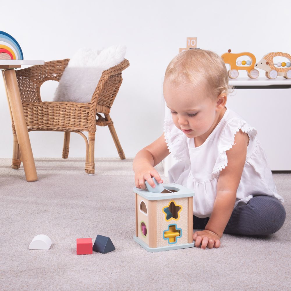 Shape Sorter - FSC 100%
