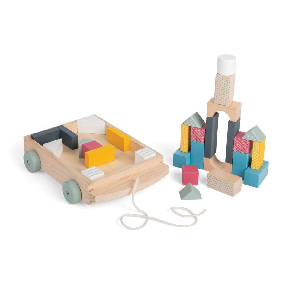 Bigjigs Toys FSC Certified Brick Wooden Cart Pull Along Toy with 30 Play Pieces