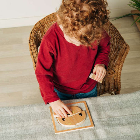 Bigjigs Toys Wooden Seal Chunky Puzzle Arctic Animal Educational Toy for 10 Months Plus