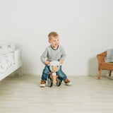 Ride on Wooden Sheep