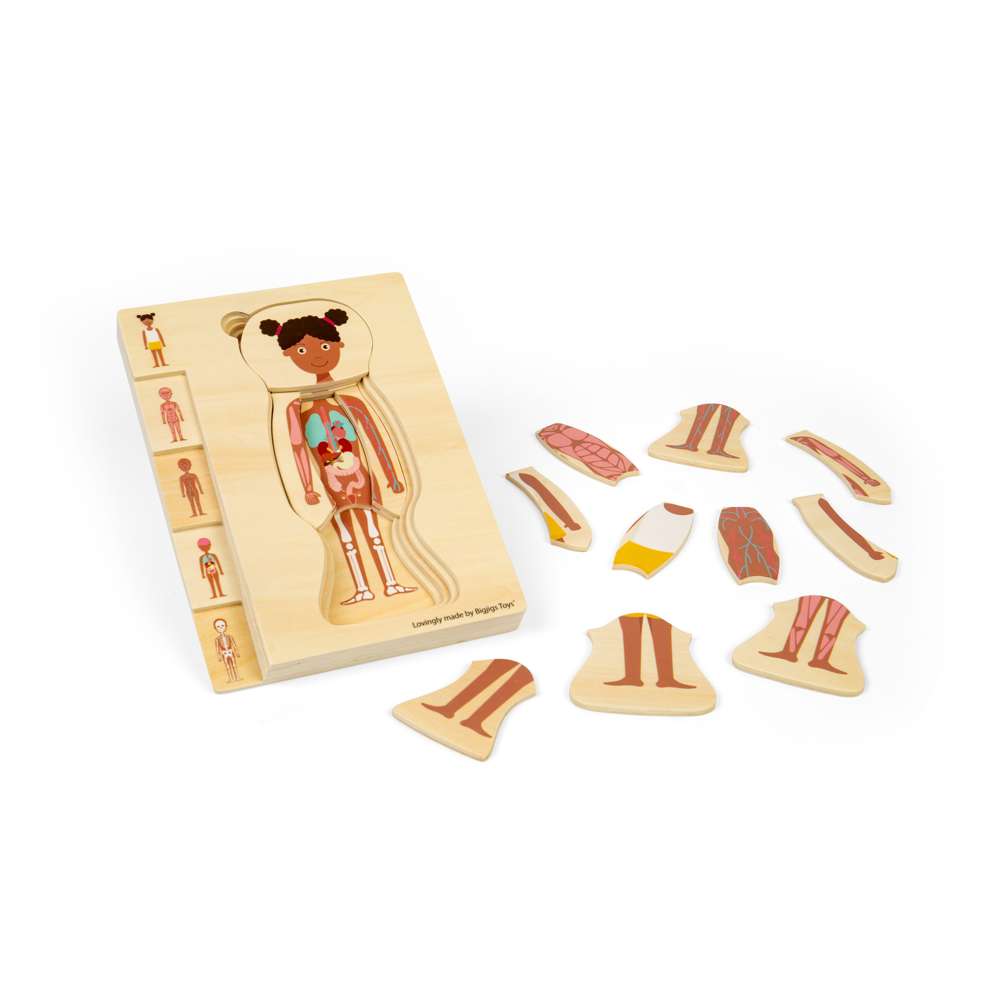 Bigjigs Toys Wooden Female Anatomy Layer Puzzle Educational Science Toy with 26 Pieces