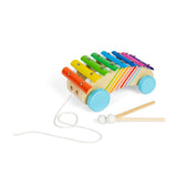 Bigjigs Toys Wooden Pull Along Xylophone 2-in-1 Musical Toy for Toddlers 18 Months Plus