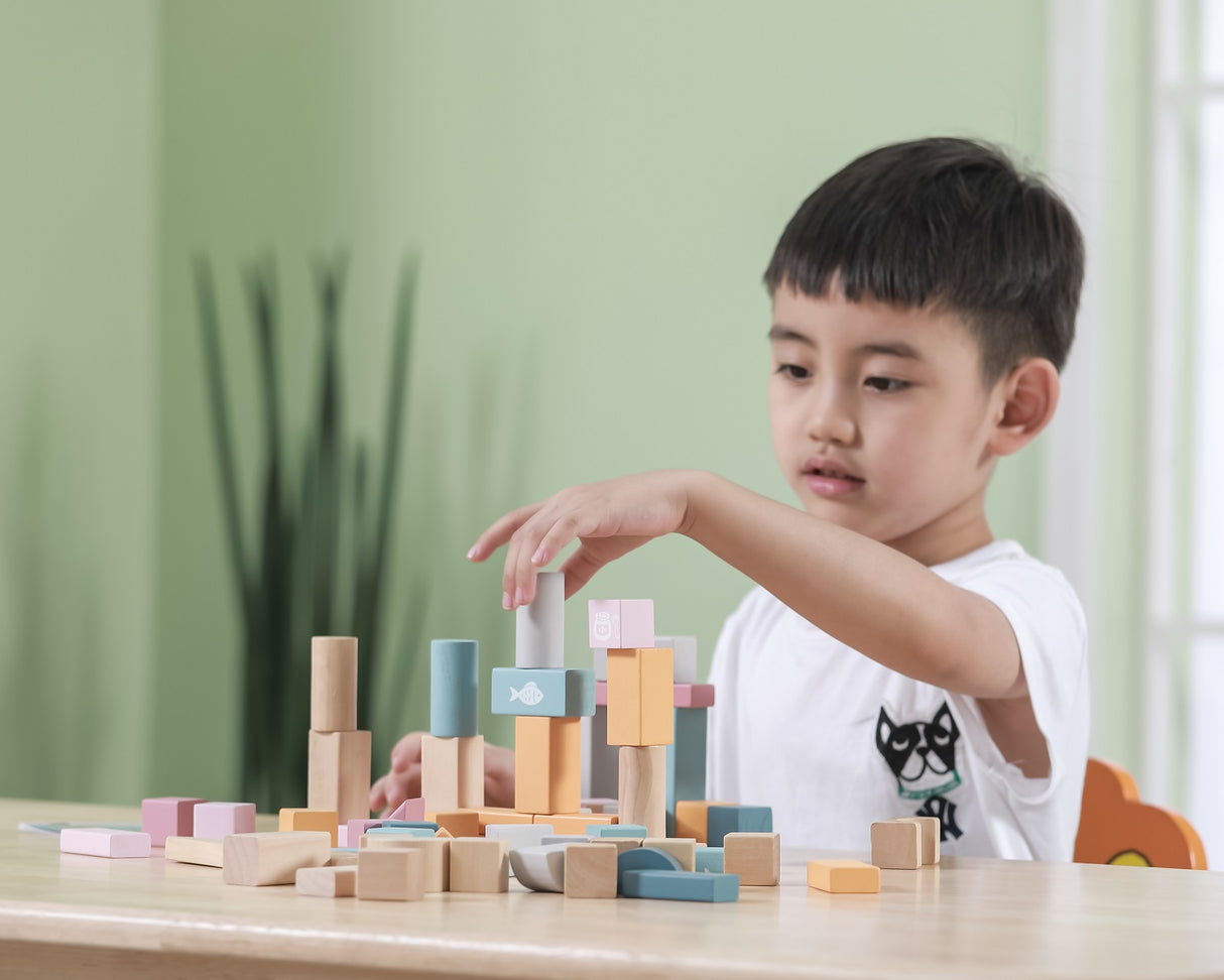 Wooden Building Blocks - 60 Pieces