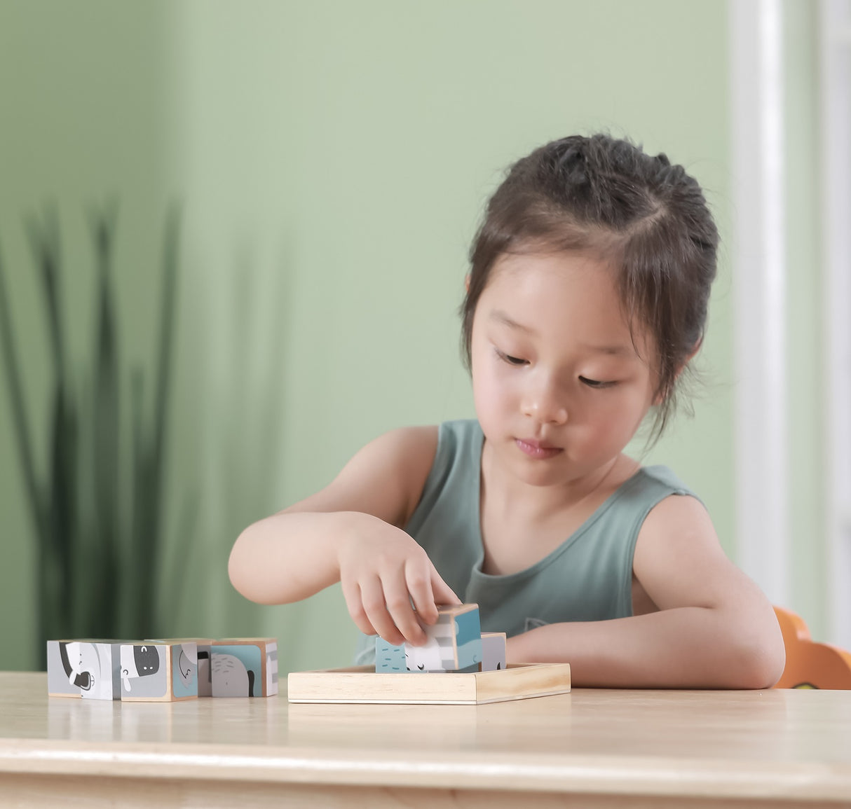 6 Sided Animal Block Puzzle