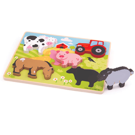 Bigjigs Toys Wooden Shape and Colour Matching Puzzle 5 Pieces