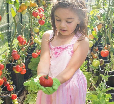 Cotton Gardening Gloves