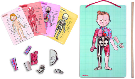 Body Magnets Educational Puzzle