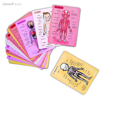 Body Magnets Educational Puzzle