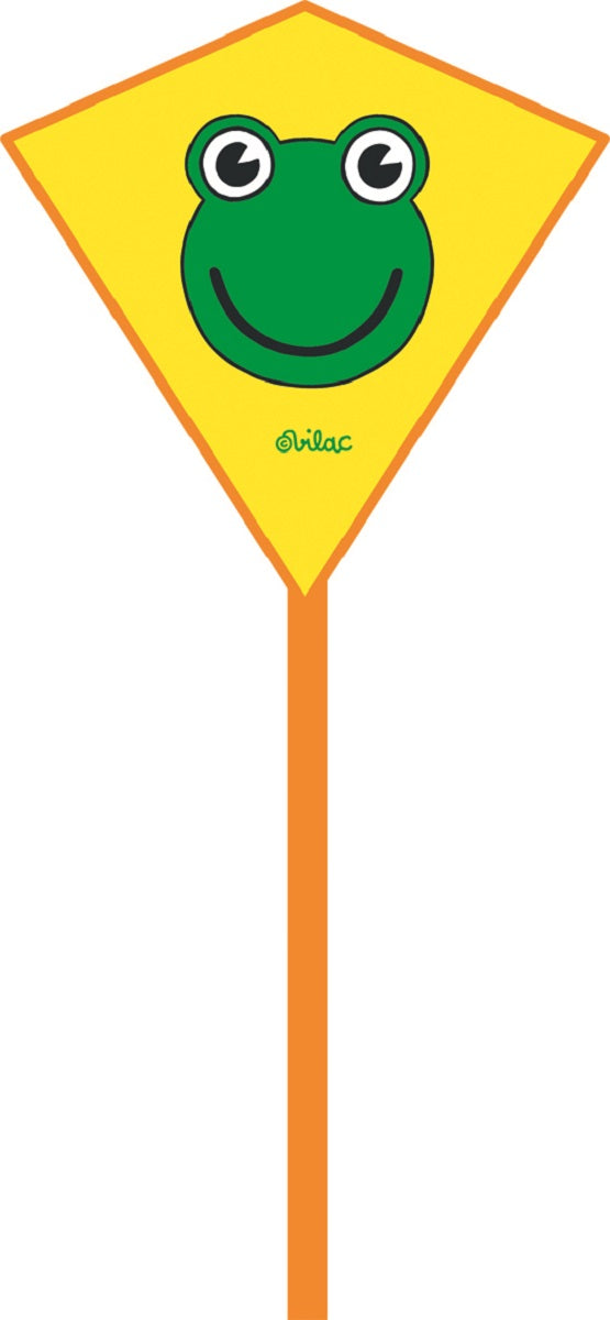 Children's Frog Kite