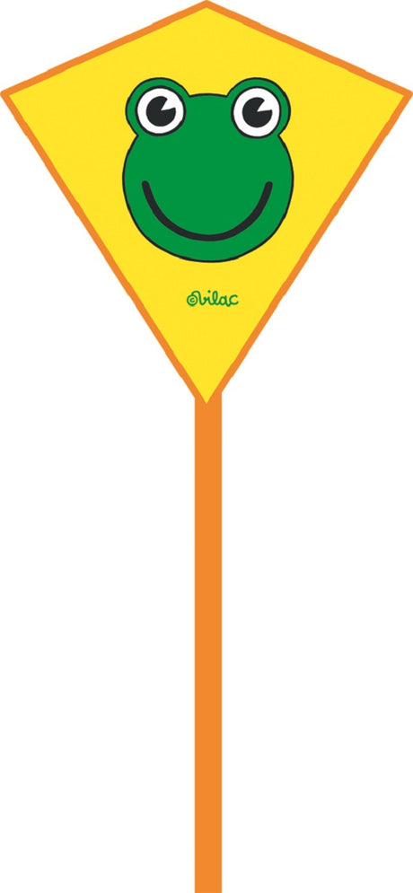 Children's Frog Kite