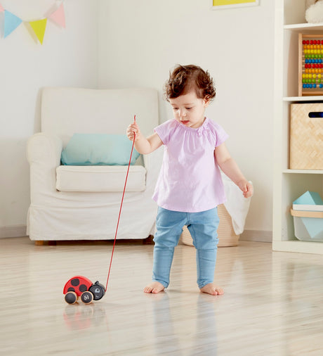 Pull Along Wooden Ladybird