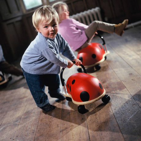Ladybird Wheely Bug - Small