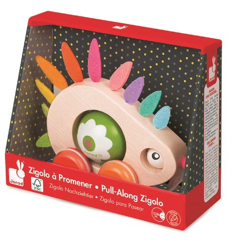 Pull Along Wooden Hedgehog