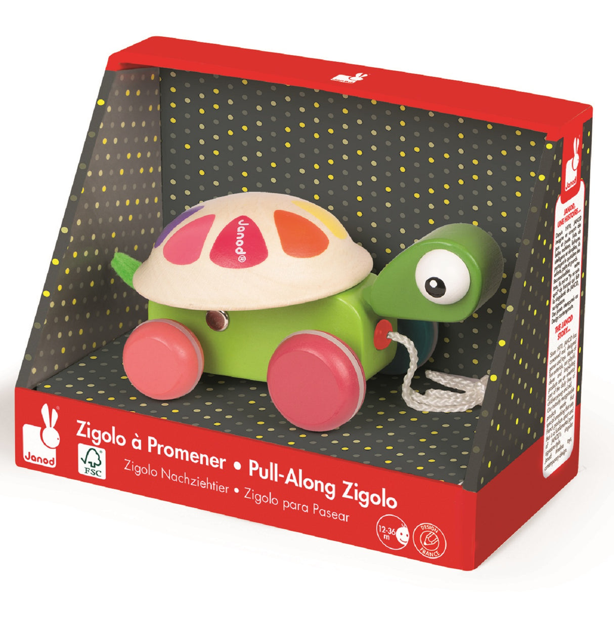 Pull Along Wooden Turtle