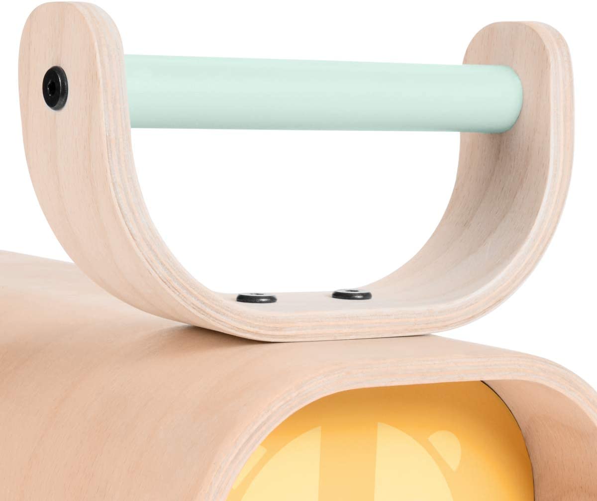 Ride On Wooden Lion