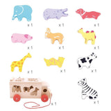 Animal Shape Lorry