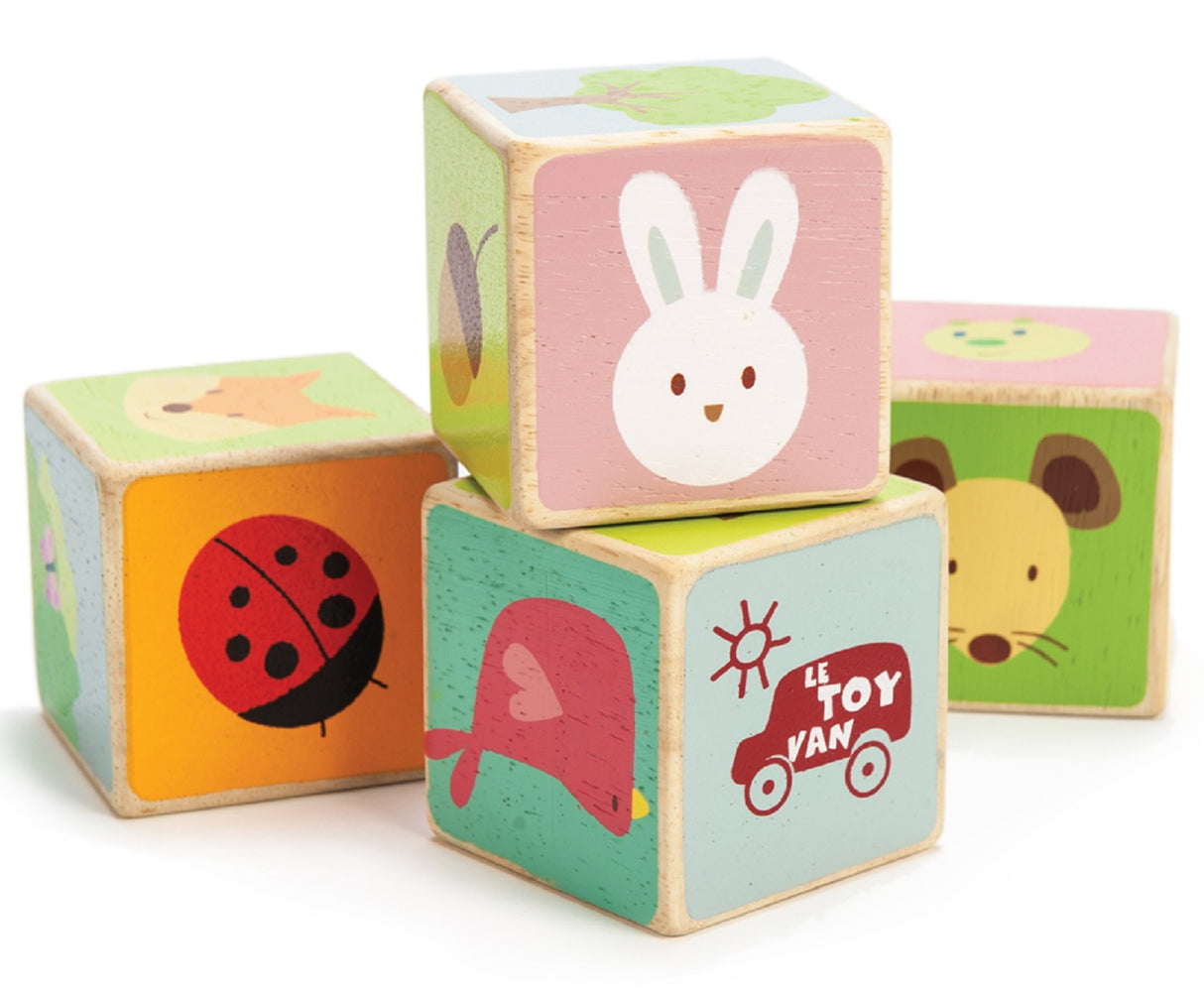 Le Toy Van Little Leaf Blocks