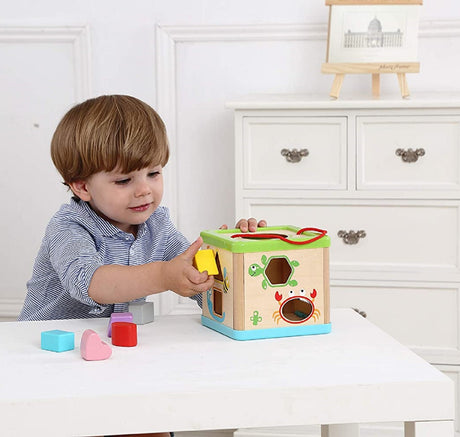 Woody Treasures Shape Sorting Cube