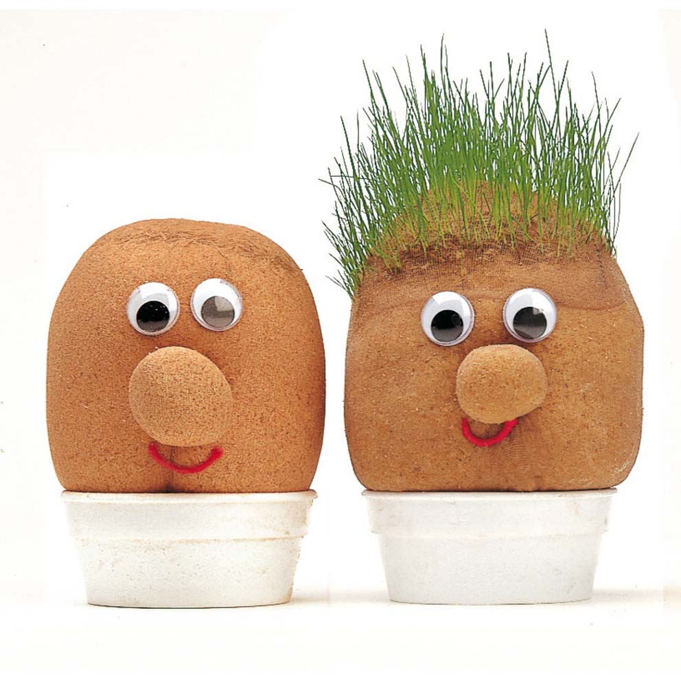 Mr Grasshead