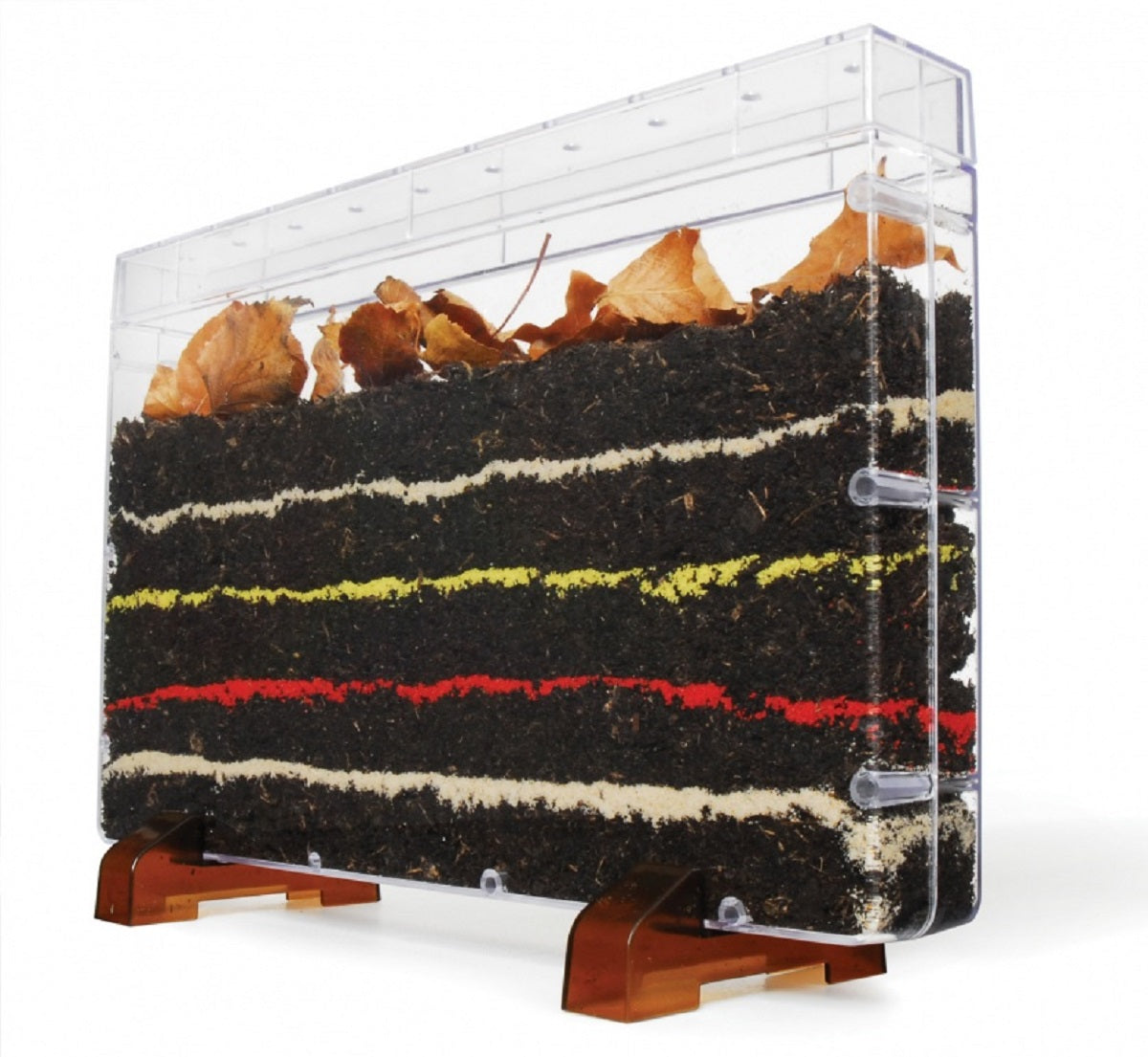 Childrens Worm Farm